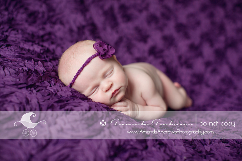 nampa newborn baby photographer