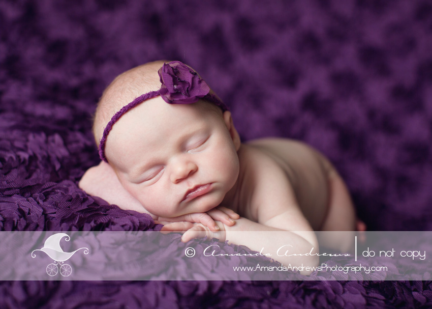 boise newborn photographer