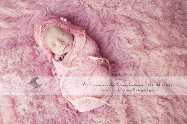 newborn photographer boise id