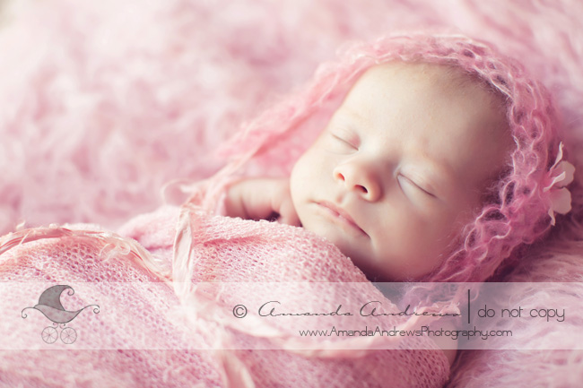 newborn photographer eagle id