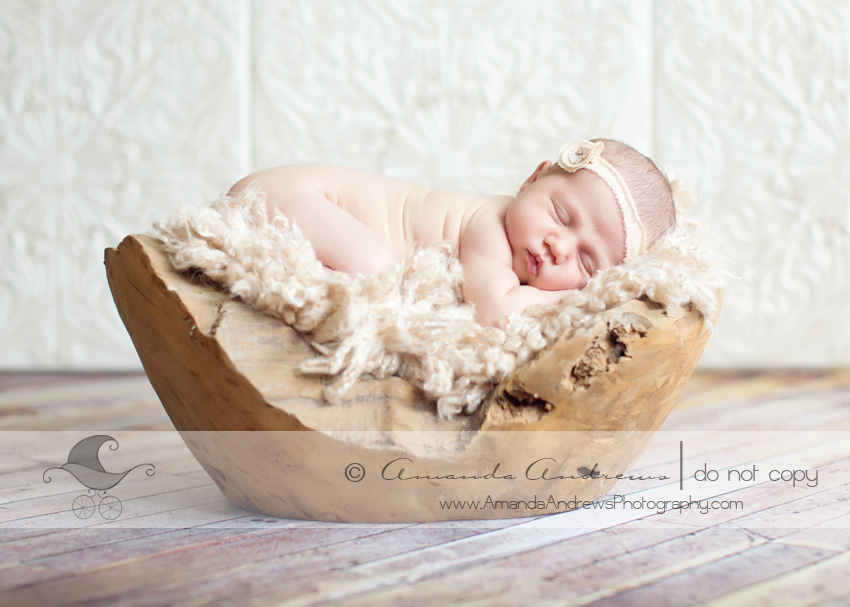 newborn photographer mountain home id