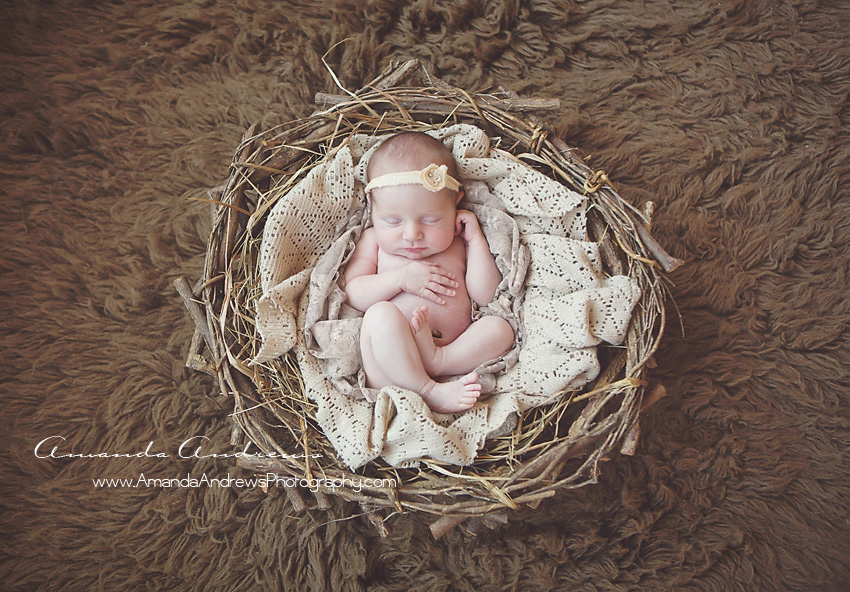 picture of newborn in nest boise 