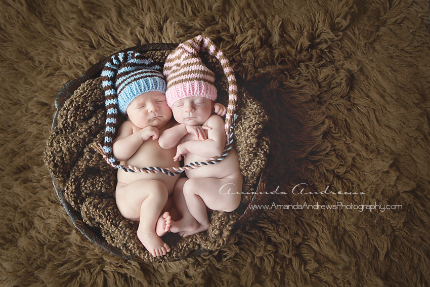 twin newborns hugging in bowl