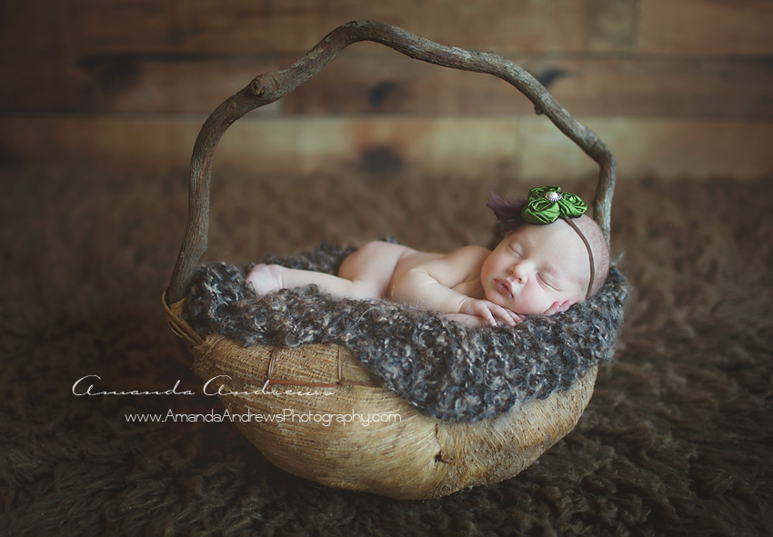picture of newborn in natural bowl boise photographer