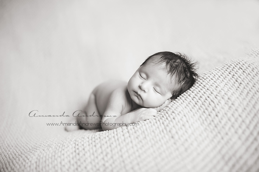 boise newborn photographer