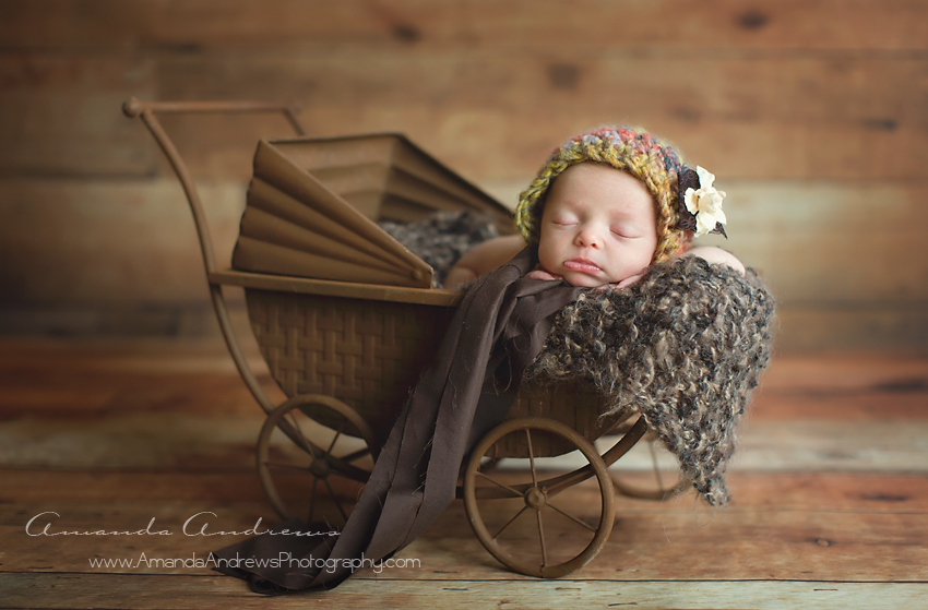 newborn in brown buggy nampa idaho