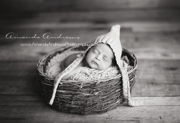 boise baby sleeping in twig basket