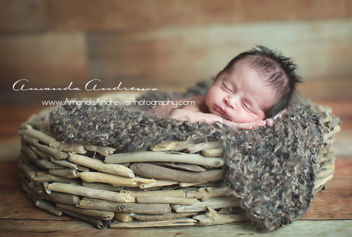 boise newborn sleeping in driftwood bowl