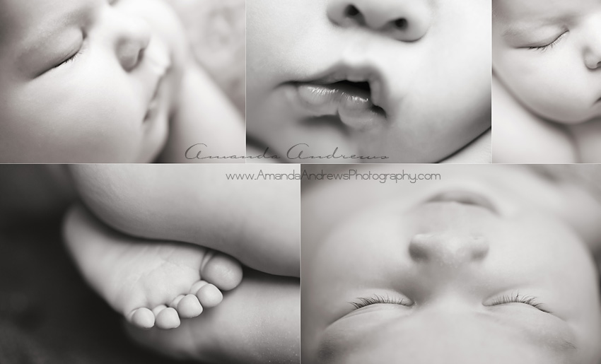 collage of baby parts
