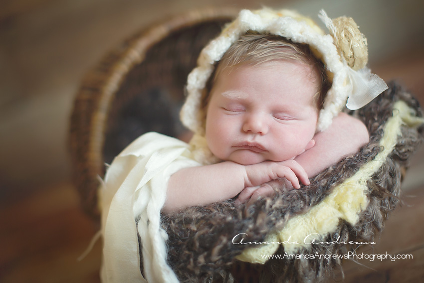 boise baby photographer