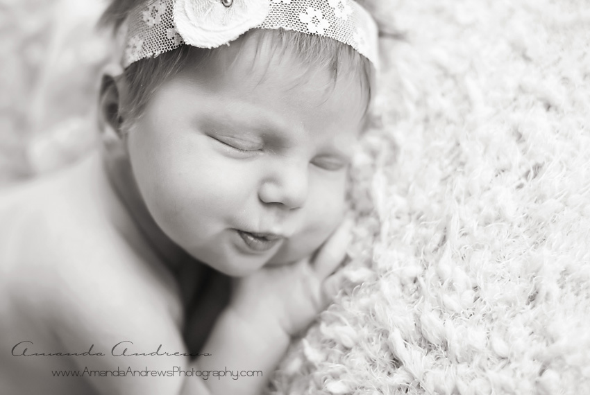 boise newborn photographer