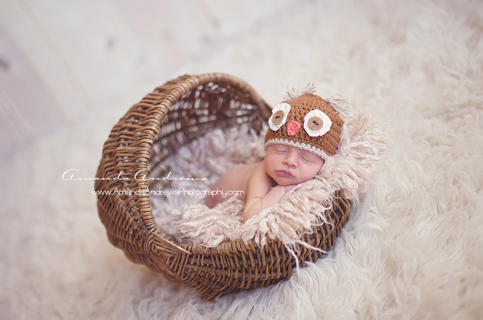 newborn boy in basket with owl hat