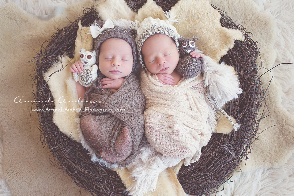 twin girl boy hold owl stuffies