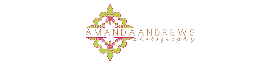 Boise, Mountain Home, Idaho Newborn Family Children’s Photographer logo