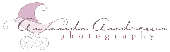 Boise, Mountain Home, Idaho Newborn Family Children’s Photographer logo